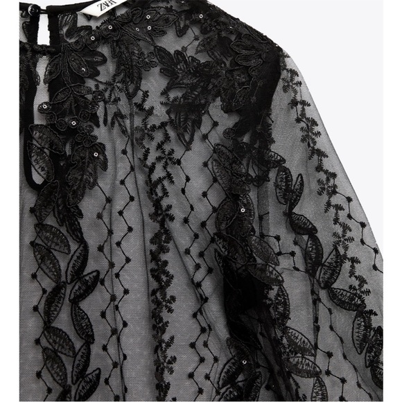 Zara embroidered semi sheer dress - Picture 2 of 6